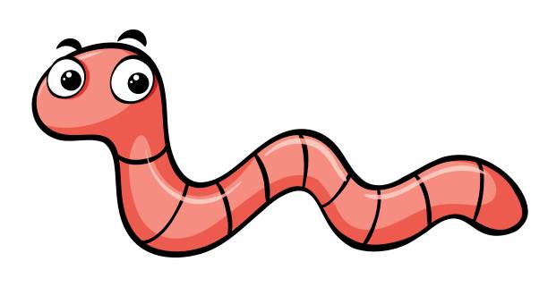 Earthworm Crawling On White Background Stock Illustration - Download Image  Now - Illustration, Earthworm, Animal - iStock
