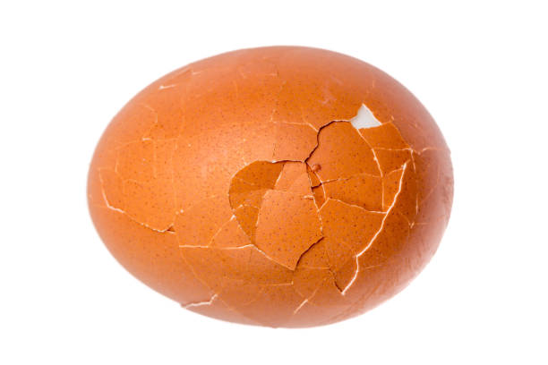 Detail texture of broken boiled egg isolated on white background.