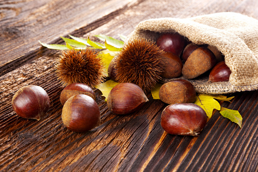 Autumn edible chestnuts in burlap bag on wooden rustic table. Fall background.