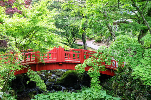 istock Atami plum garden red bridge after the rain 823813454