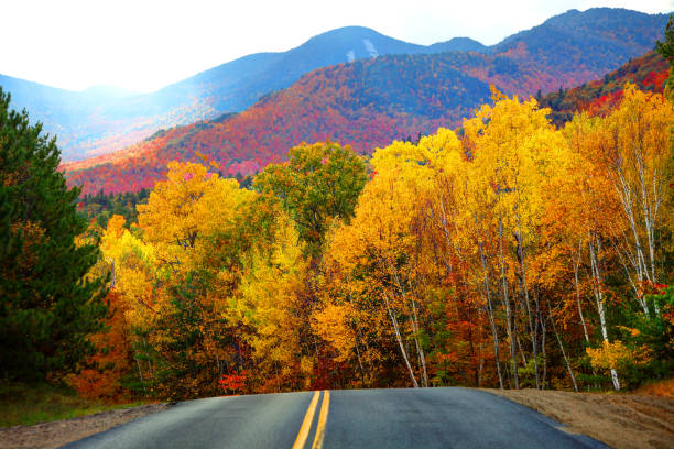 アディロンダックの秋の道 - adirondack mountains ストックフォトと画像