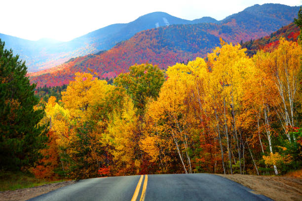 istock Autumn road in the Adirondacks 823819360