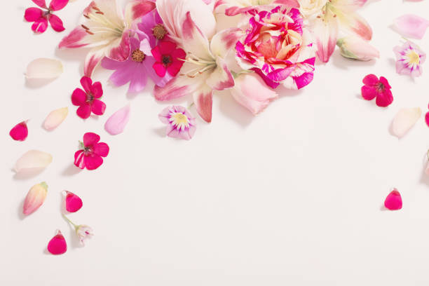 istock summer flowers on white background 823819886