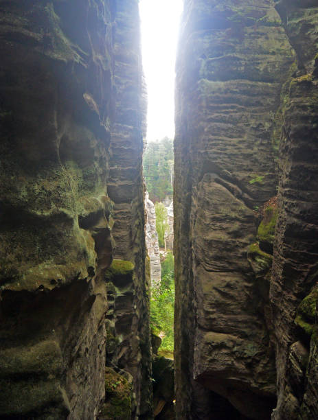 prachov rock towers formation, protected natural reserve in Czech republic. View in a sunny summer day