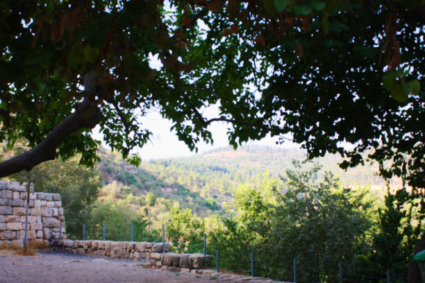 istock Hiking in Israel 823822838
