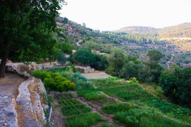 istock Hiking in Israel 823822934