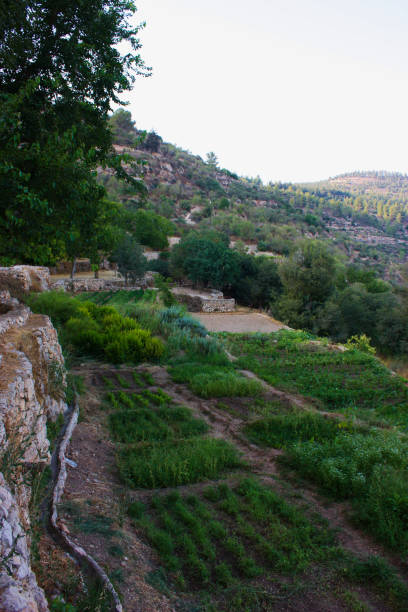 istock Hiking in Israel 823822996