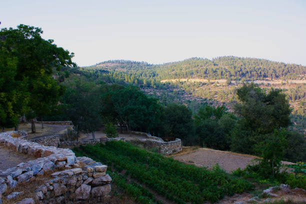 istock Hiking in Israel 823823012