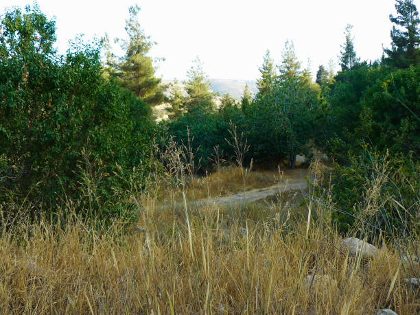 istock Hiking in Israel 823823162