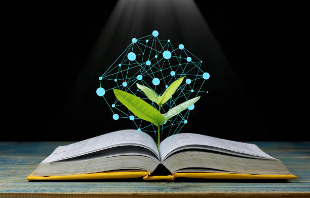 istock tree grow up from book with light shining as getting knowledge on black background, concept as opening paper will see knowledge of the world, learning by yourself and improve your life everywhere 823825802