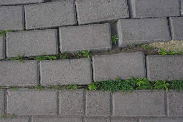 istock Damaged tiles on the sidewalk 1 823827354