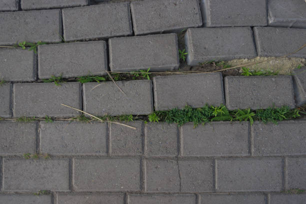 istock Damaged tiles on the sidewalk 2 823830188