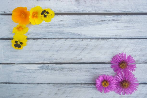 istock Summer flowers on a light wooden background 823832470