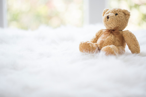 Teddy bear with a bow, on white fluffy blanket, by the window.