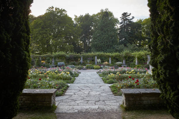 istock Visby botanical garden in the summertime 823839914