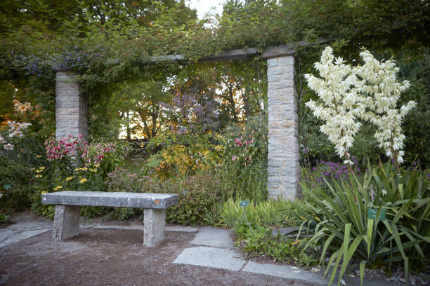 istock Visby botanical garden in the summertime 823840086