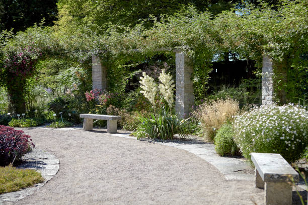 istock Visby botanical garden in the summertime 823840108