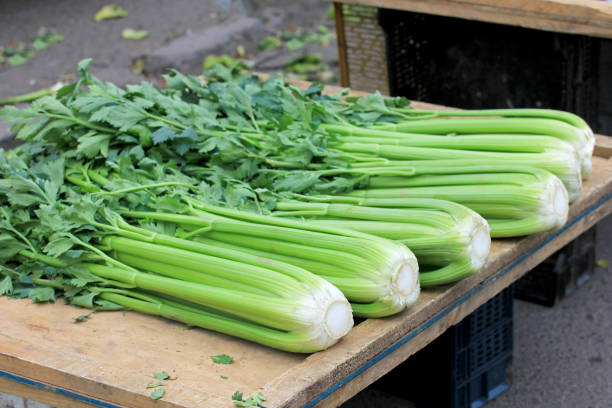 Fresh celery displayed at farmers market, Chile, South America