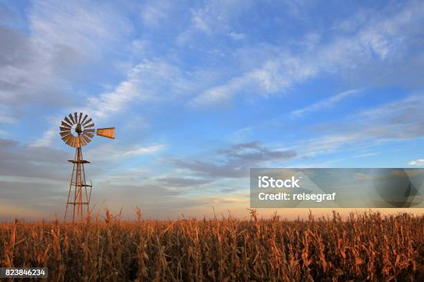 Molino De Westernmill De Estilo De Texas Al Atardecer Argentina Foto de stock y más banco de imágenes de Aerogenerador