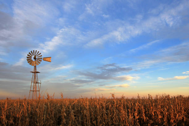 moinho de westernmill de estilo texas ao pôr do sol, argentina - moinho - fotografias e filmes do acervo