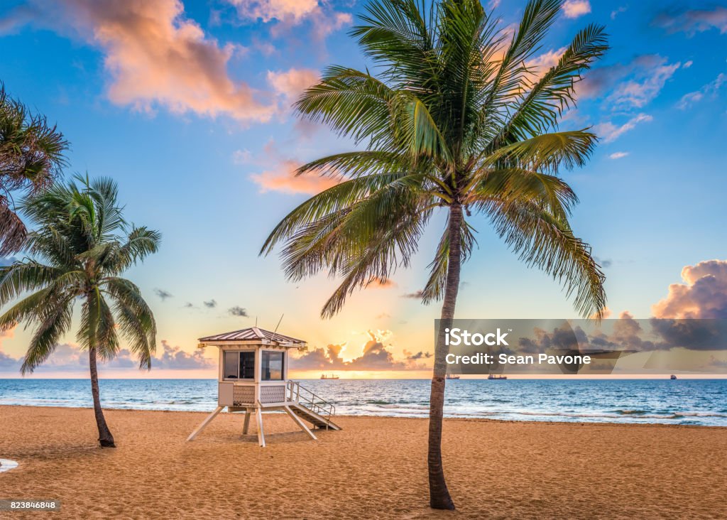 Fort Lauderdale Beach Fort Lauderdale, Florida, USA at the beach. Beach Stock Photo