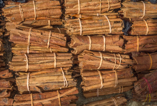 Stack of cinnamon sticks on the counter market