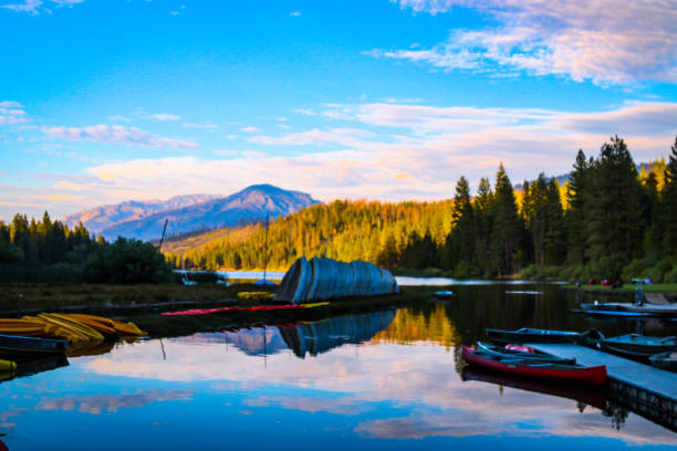 istock Reflections of summer at the lake 823850756
