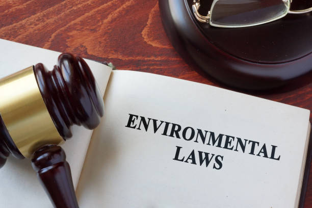 istock Environmental law title on a book and gavel. 823859308