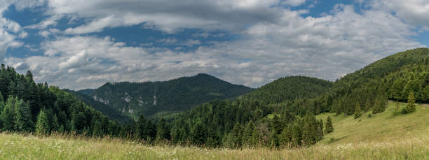 istock Sunny summer day over Lesnica village 823867022