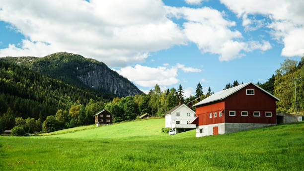 istock Summer Farm in norway 823871376