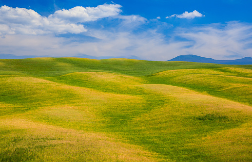 Rolling hills, green fields in Tuscany, Italy