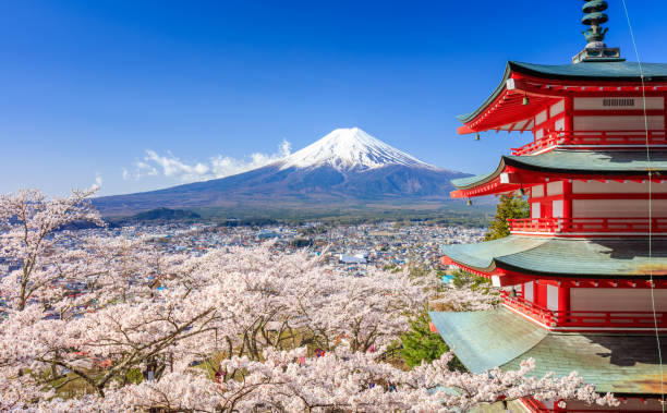 Mt. Fuji with Chureito Pagoda in spring, Fujiyoshida, Japan stock photo