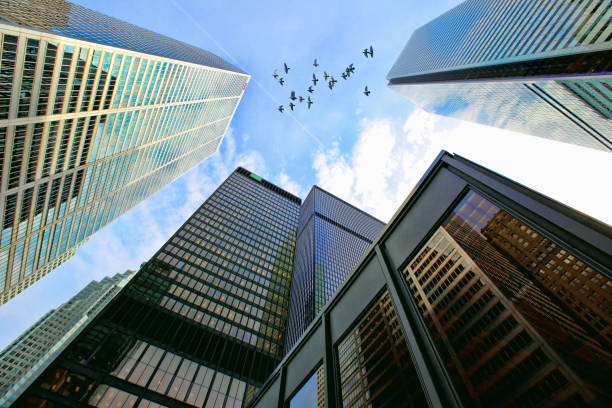 istock Skyline of the financial district 823913204