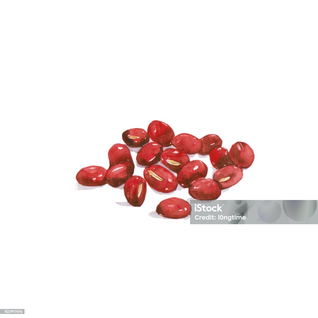 Asaki beans. Watercolor painting , isolated on white background Adzuki Bean stock illustration