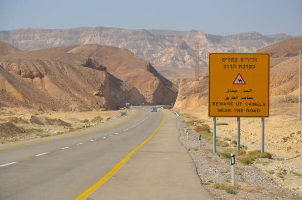 istock Highway in the Negev Desert 823917738