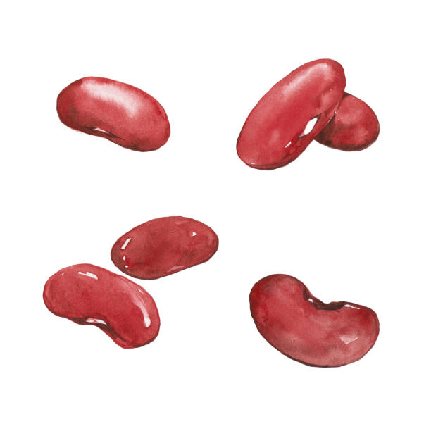 ilustrações de stock, clip art, desenhos animados e ícones de red beans. - adzuki bean