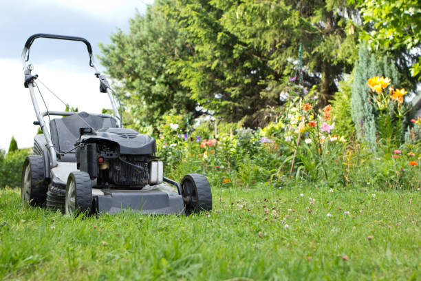 istock lawn mower in the garden 823934836