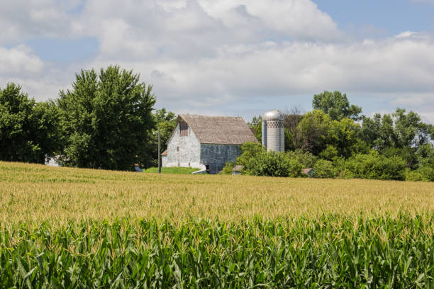 istock Out in the Country 823935944