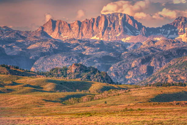 Spring sunset casting pink glow on Fremont Peak and highlighting Spring green grass and sage. Wind River Range, Wyoming