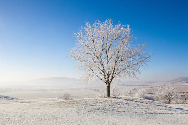 istock Amazing winter landscape. 823949220