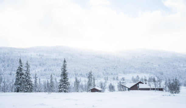 istock Winter in the south Norway 823956084
