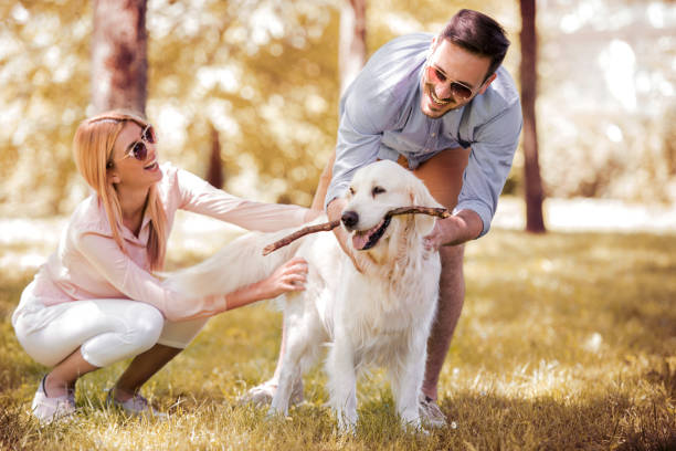 istock Happy young couple outdoors 823956192