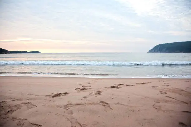 Photo of waves roll onto cape breton beach