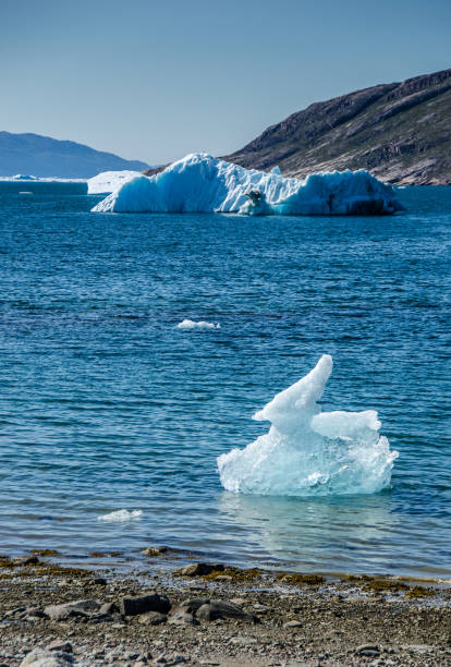istock Duck shaped iceberg near a glacier 823963150