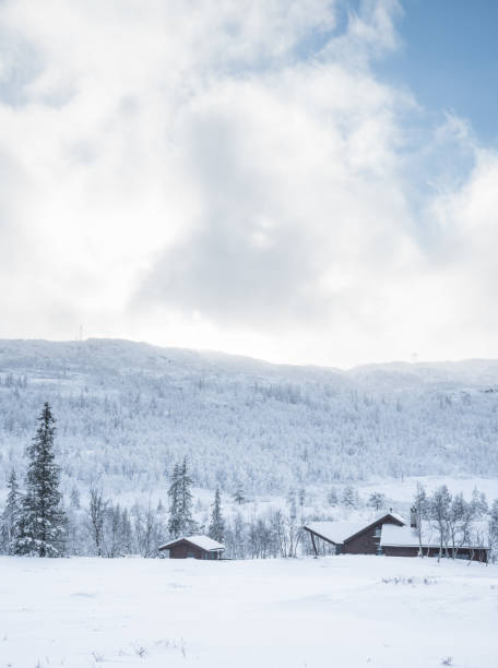 istock Winter in the south Norway 823963488