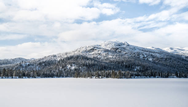 istock Winter in the south Norway 823969430