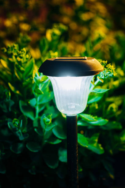 istock Small Solar Garden Light, Lantern In Flower Bed. Garden Design. Solar Powered Lamp 823969512