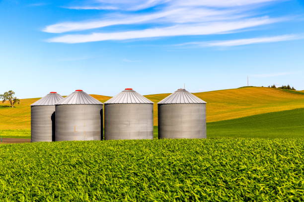 istock Grain Silos On A Farm, WA 823969622