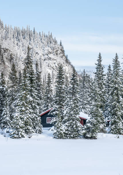 istock Winter in the south Norway 823970464