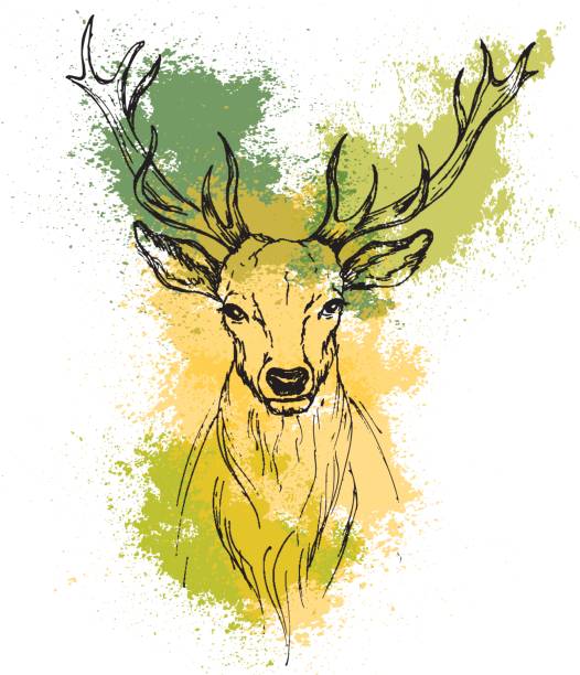 istock Sketch by pen Noble deer front view on the background of watercolor stains 823974440